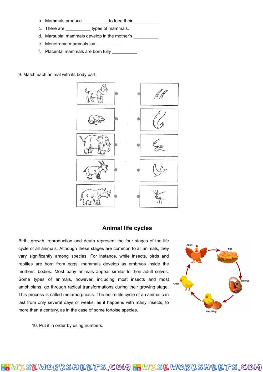 worksheet