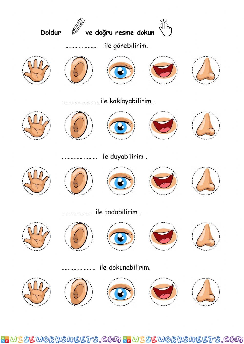 worksheet