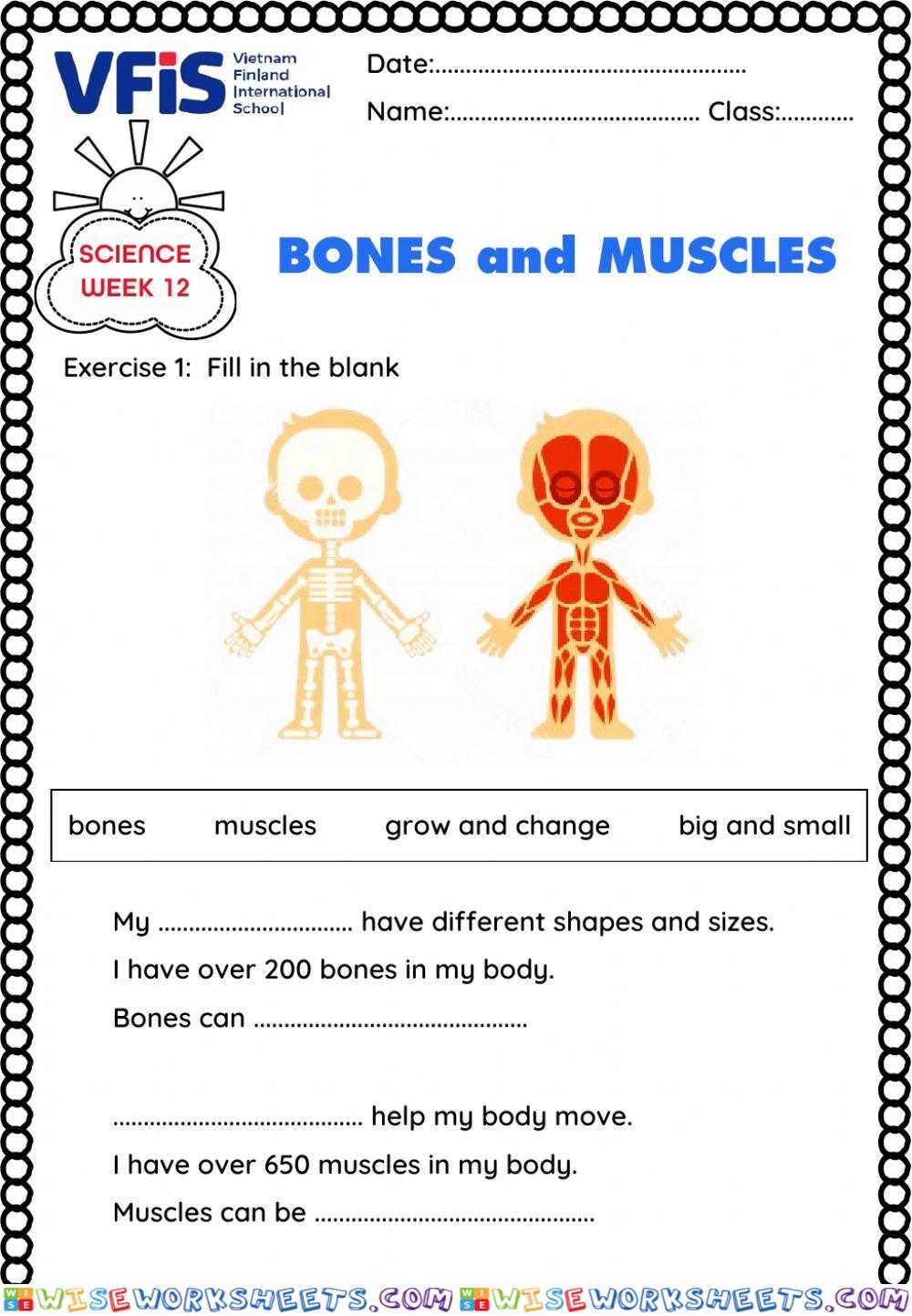 Science Week 12