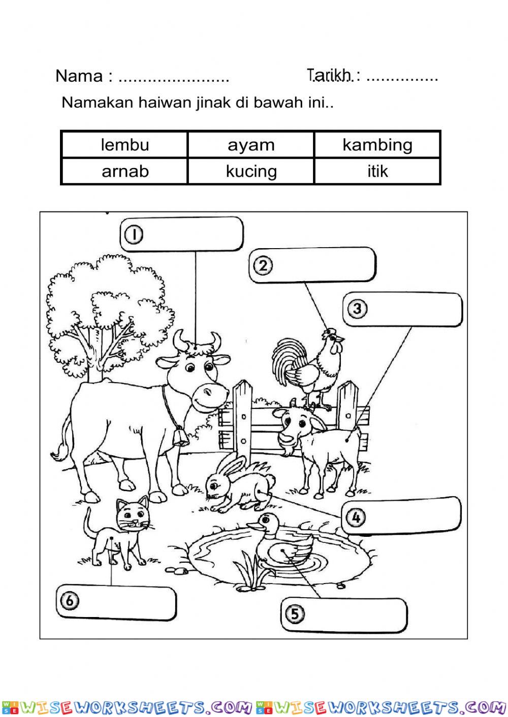 Kenali Haiwan Jinak