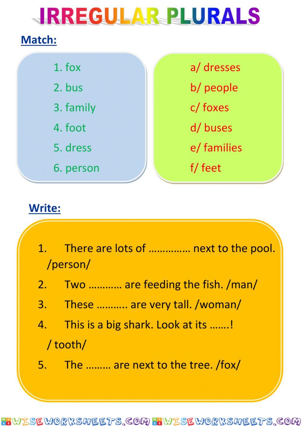 Irregular plurals