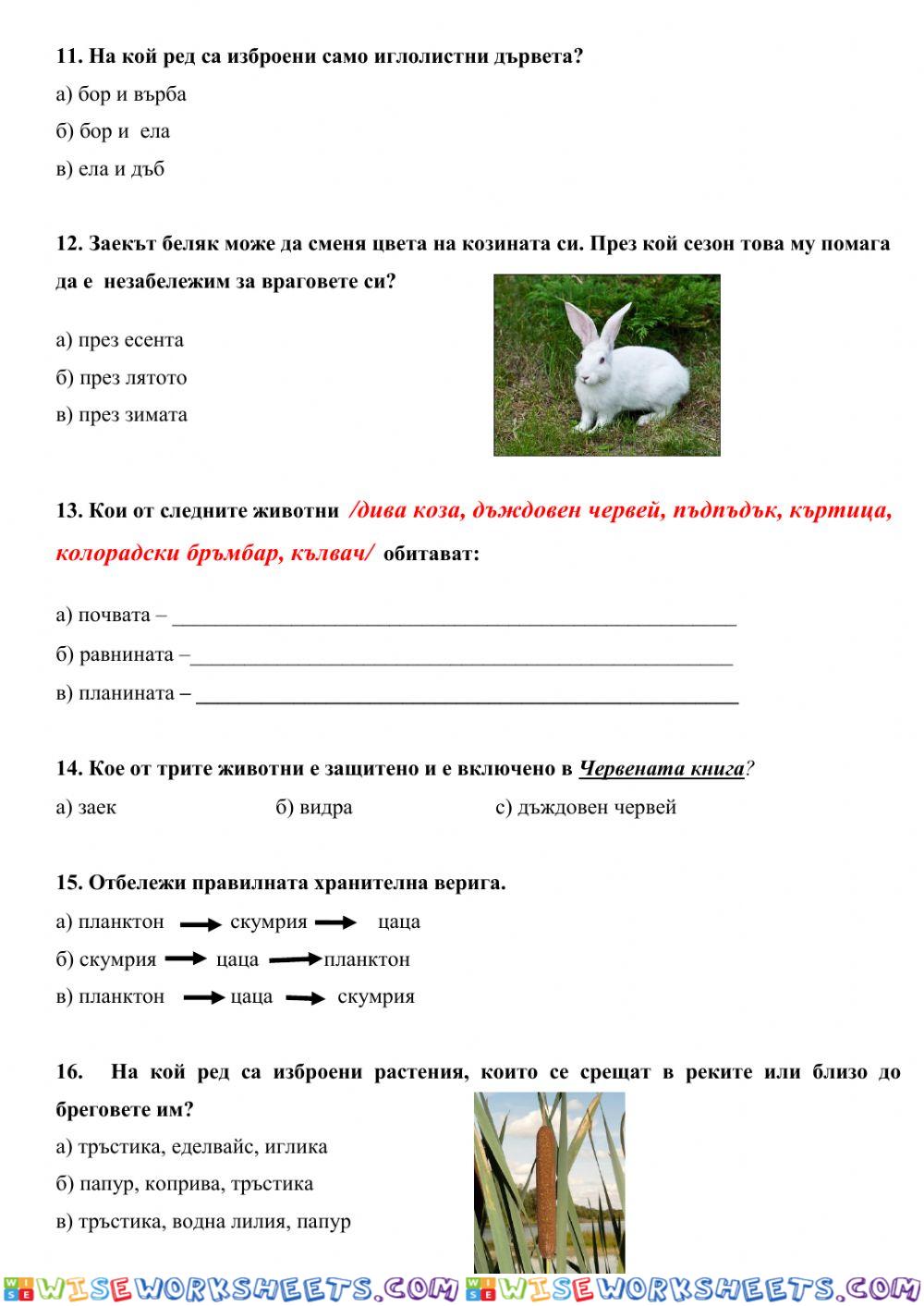 worksheet