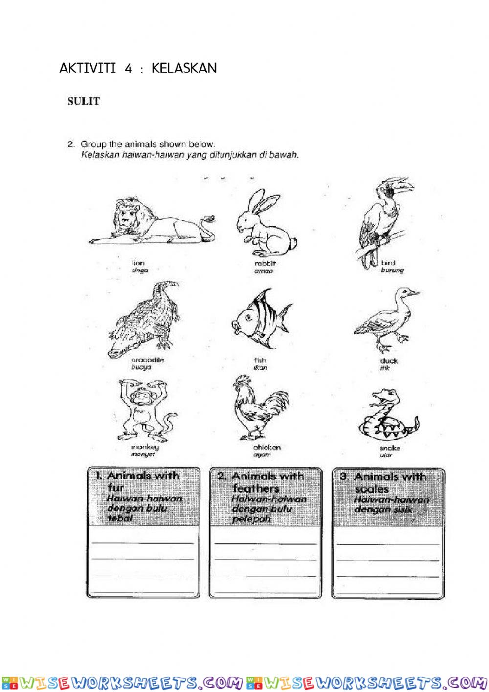 worksheet