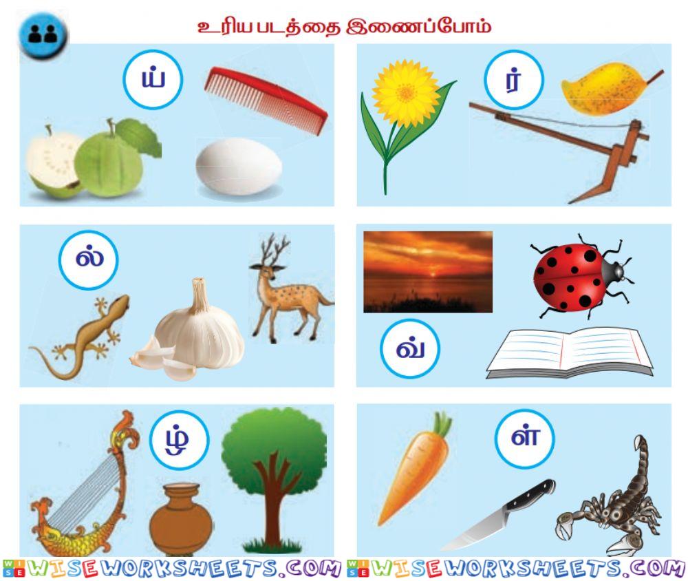 Tamil - எழுத்துக்கு உரிய படத்தை இணைப்போம்