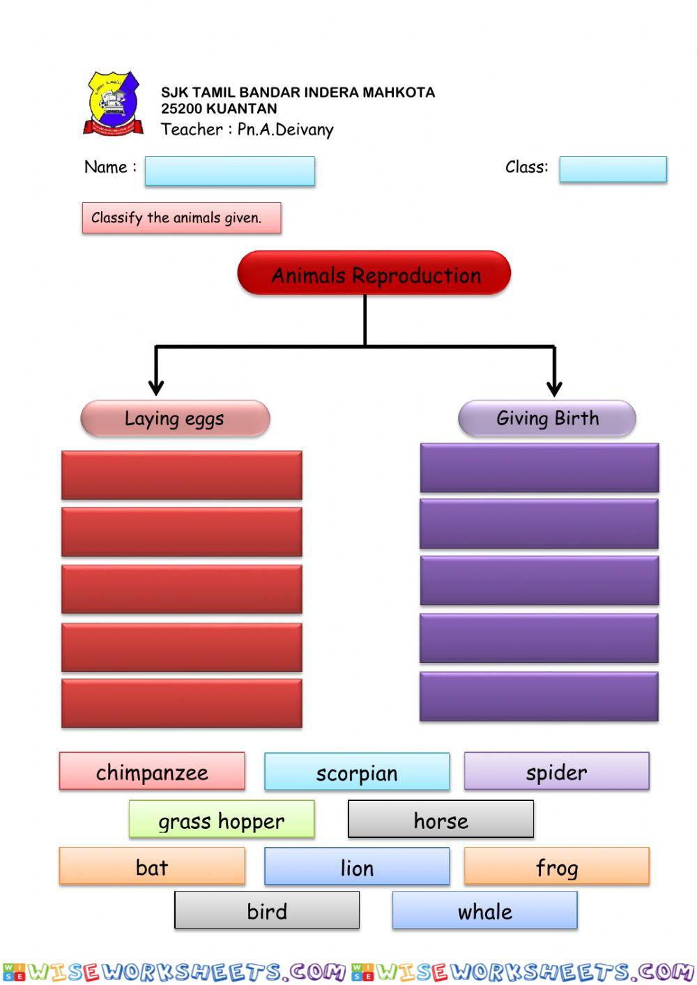Animals reproduction