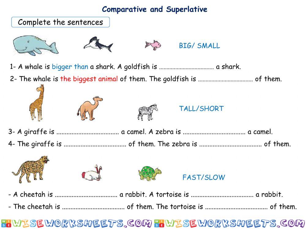 worksheet