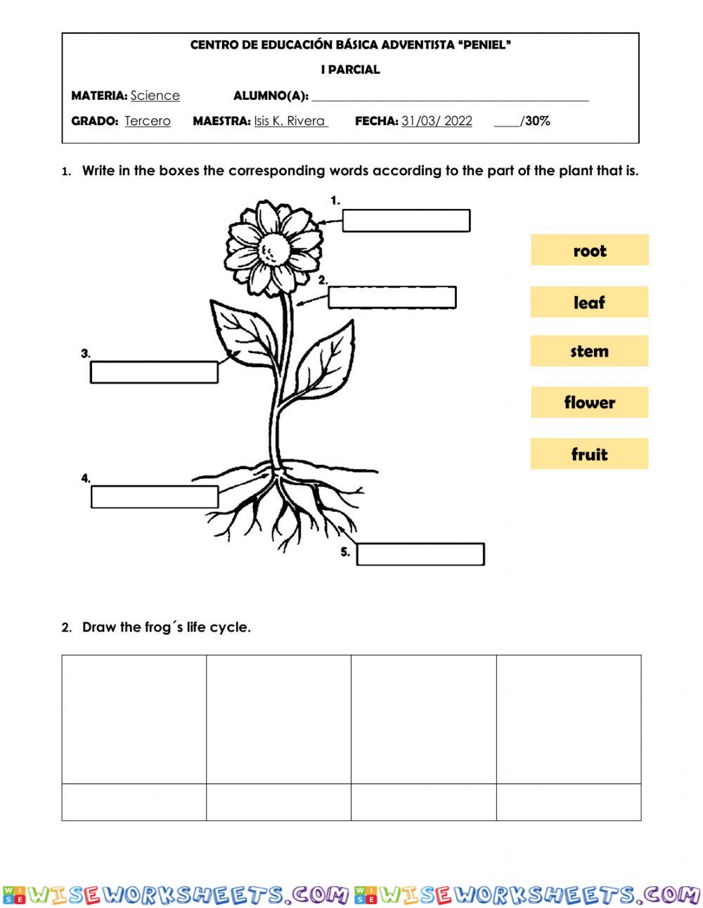 Science Third Grade