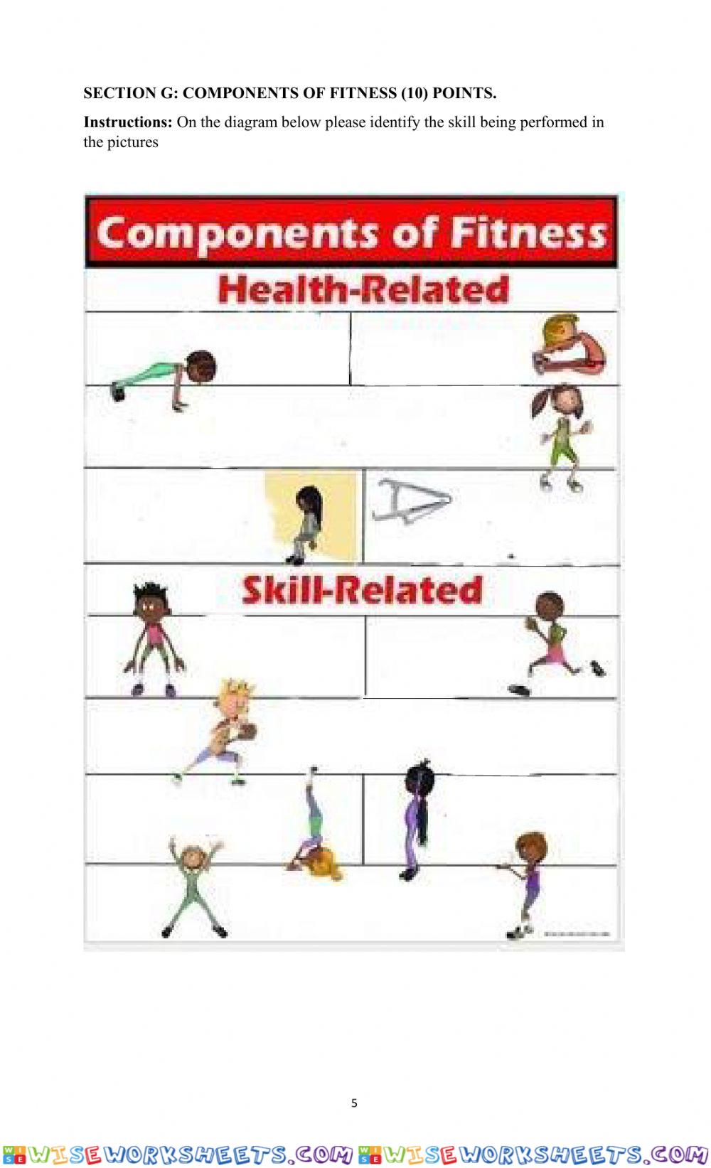 worksheet