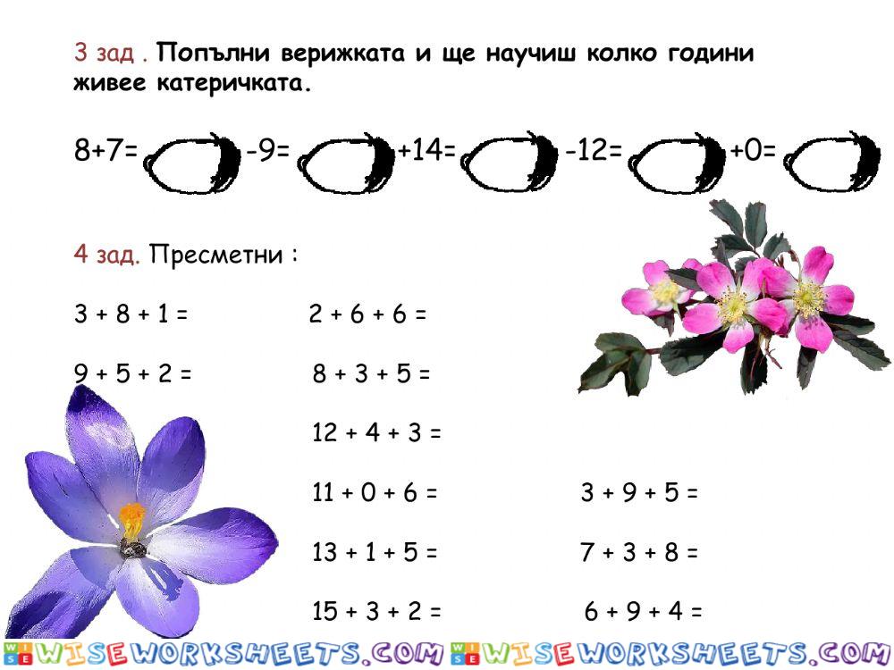 worksheet