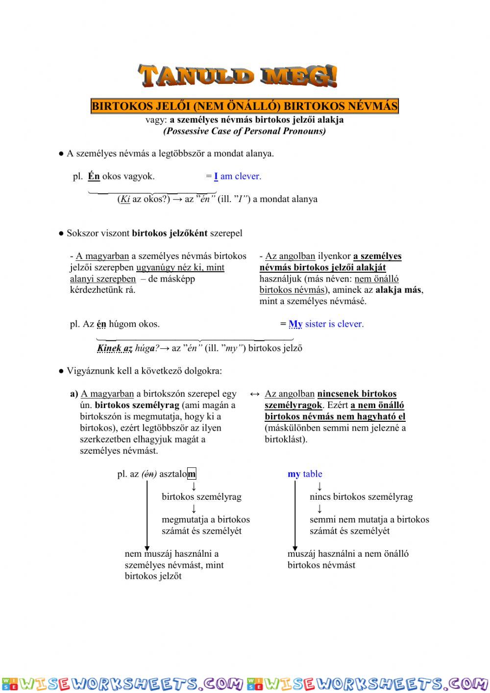 Possessive Adjectives