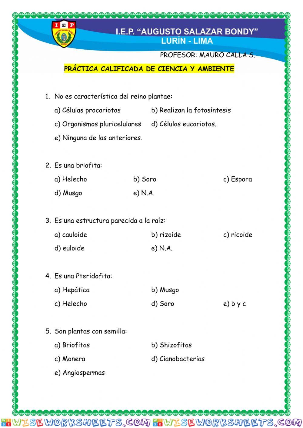 Reino de las plantas