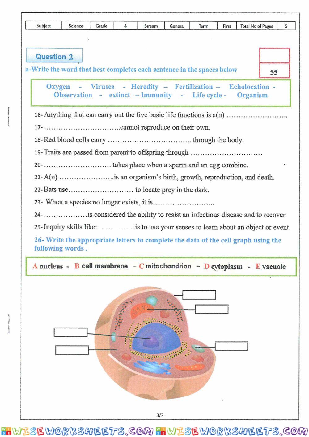 worksheet