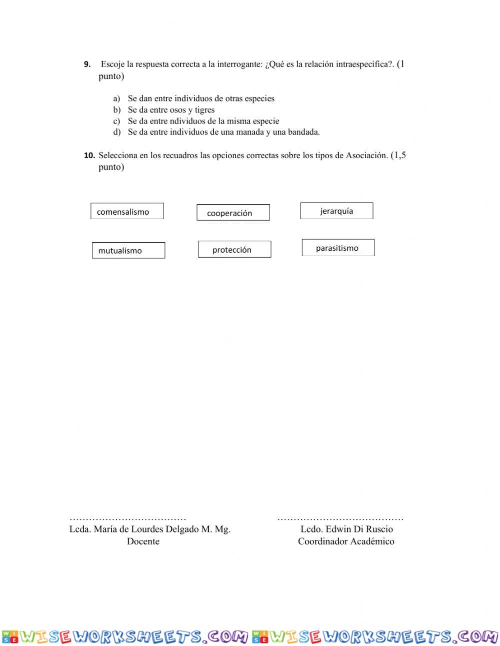 worksheet