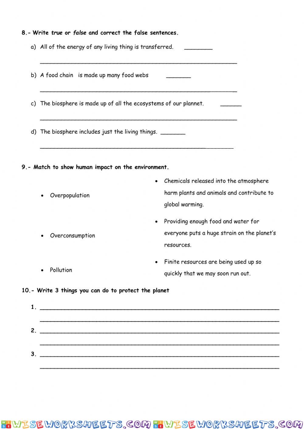 worksheet