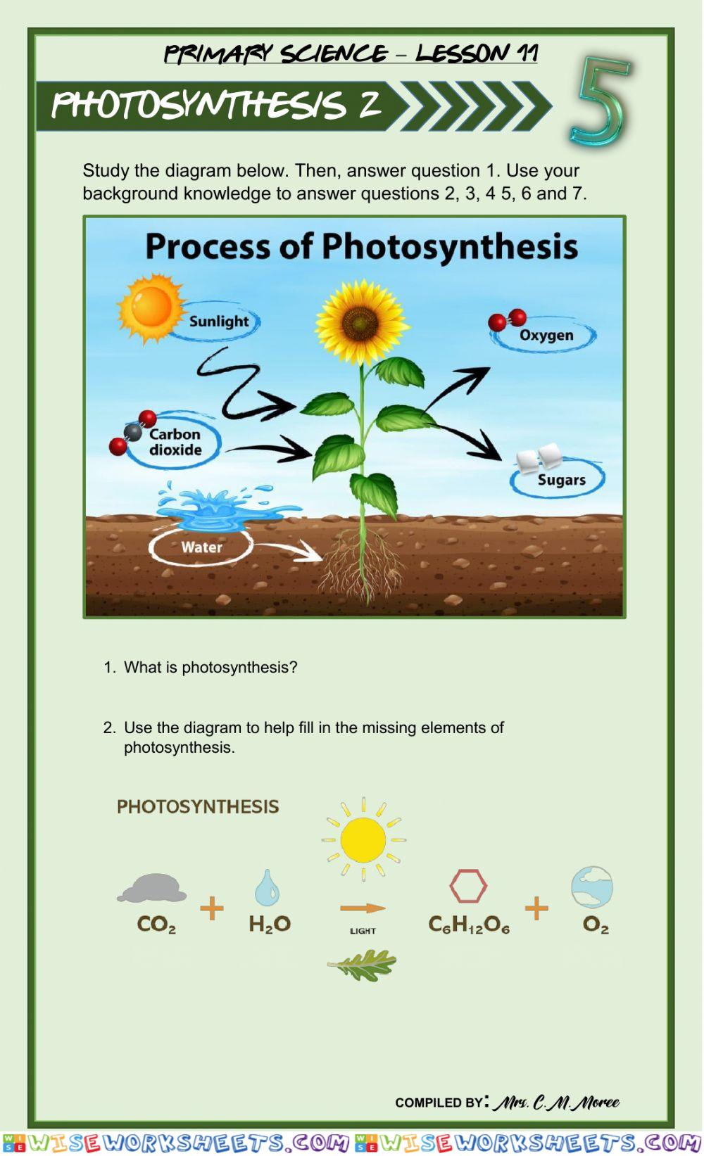Photosynthesis 2
