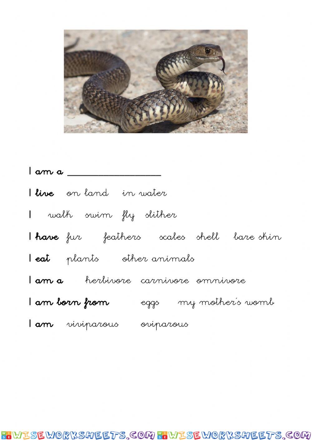 Snake's file