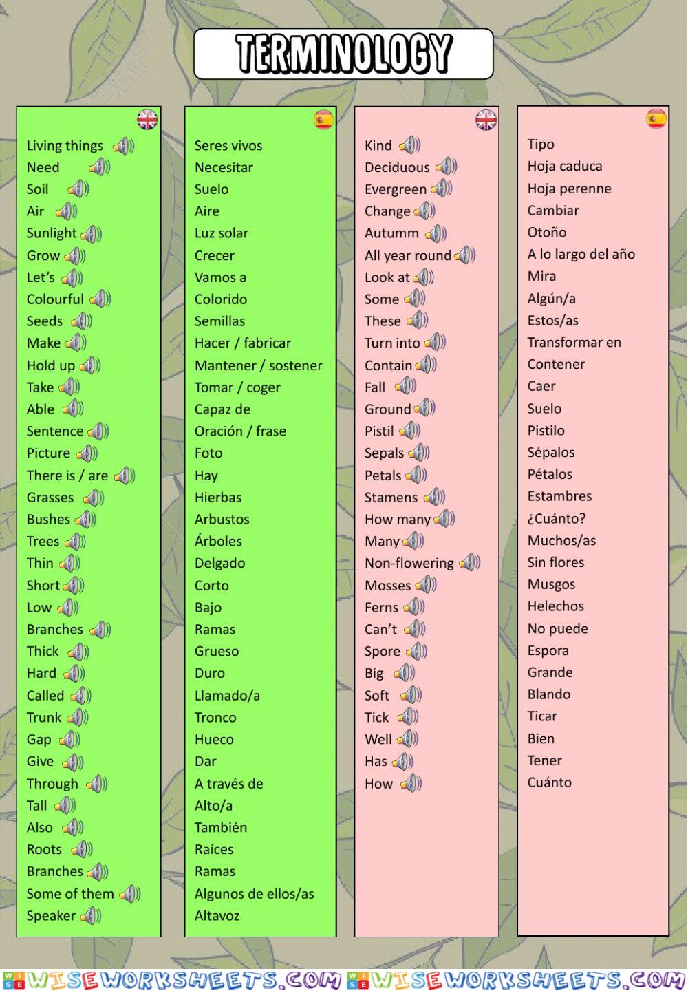 The plants: terminology