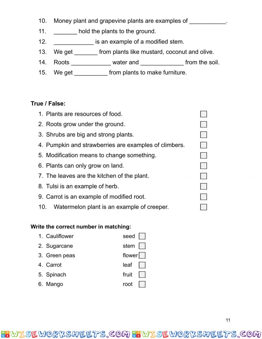 worksheet