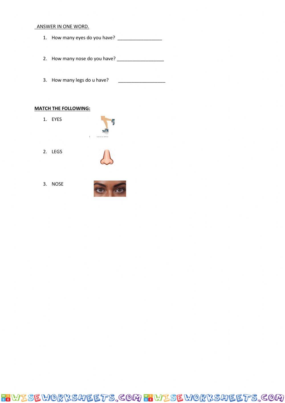 worksheet