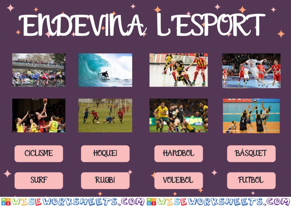 Endevina l'esport