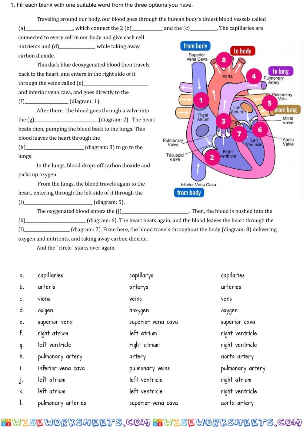 worksheet