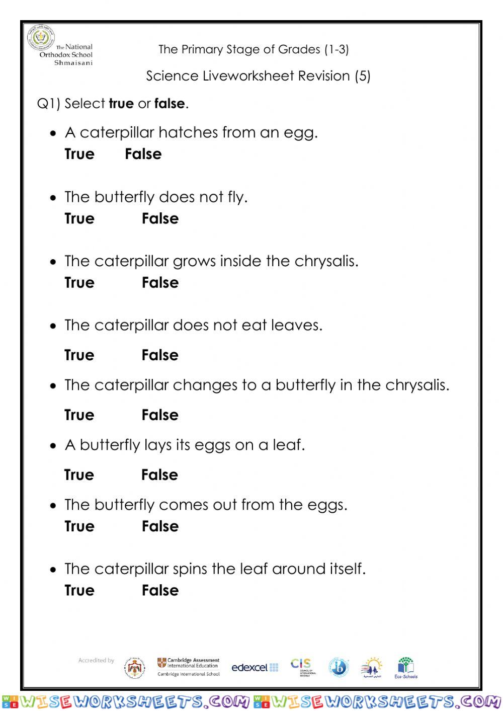 Butterfly life cycle