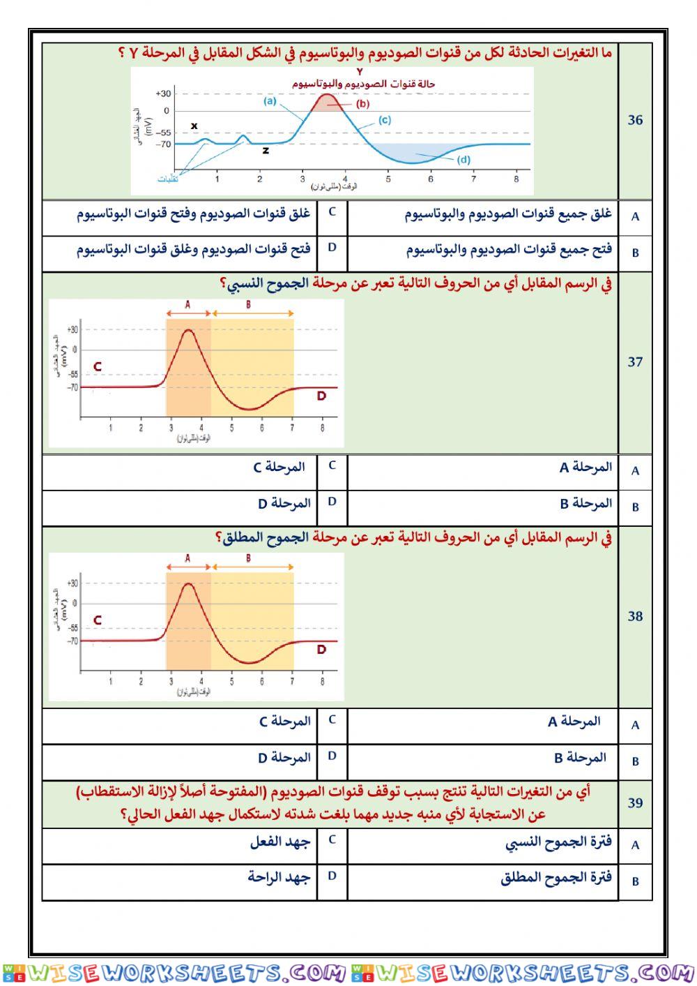 worksheet