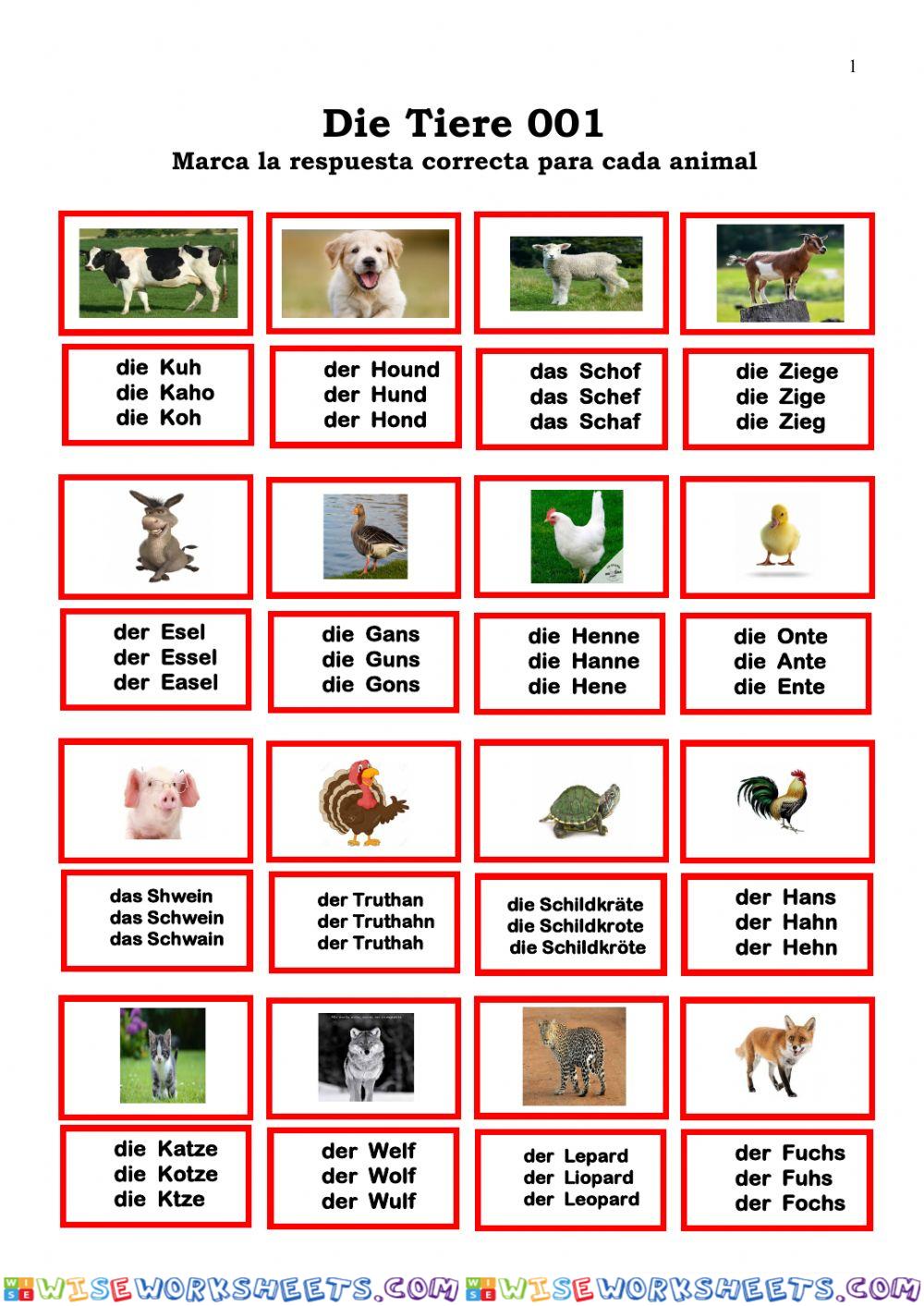 Tiere 001