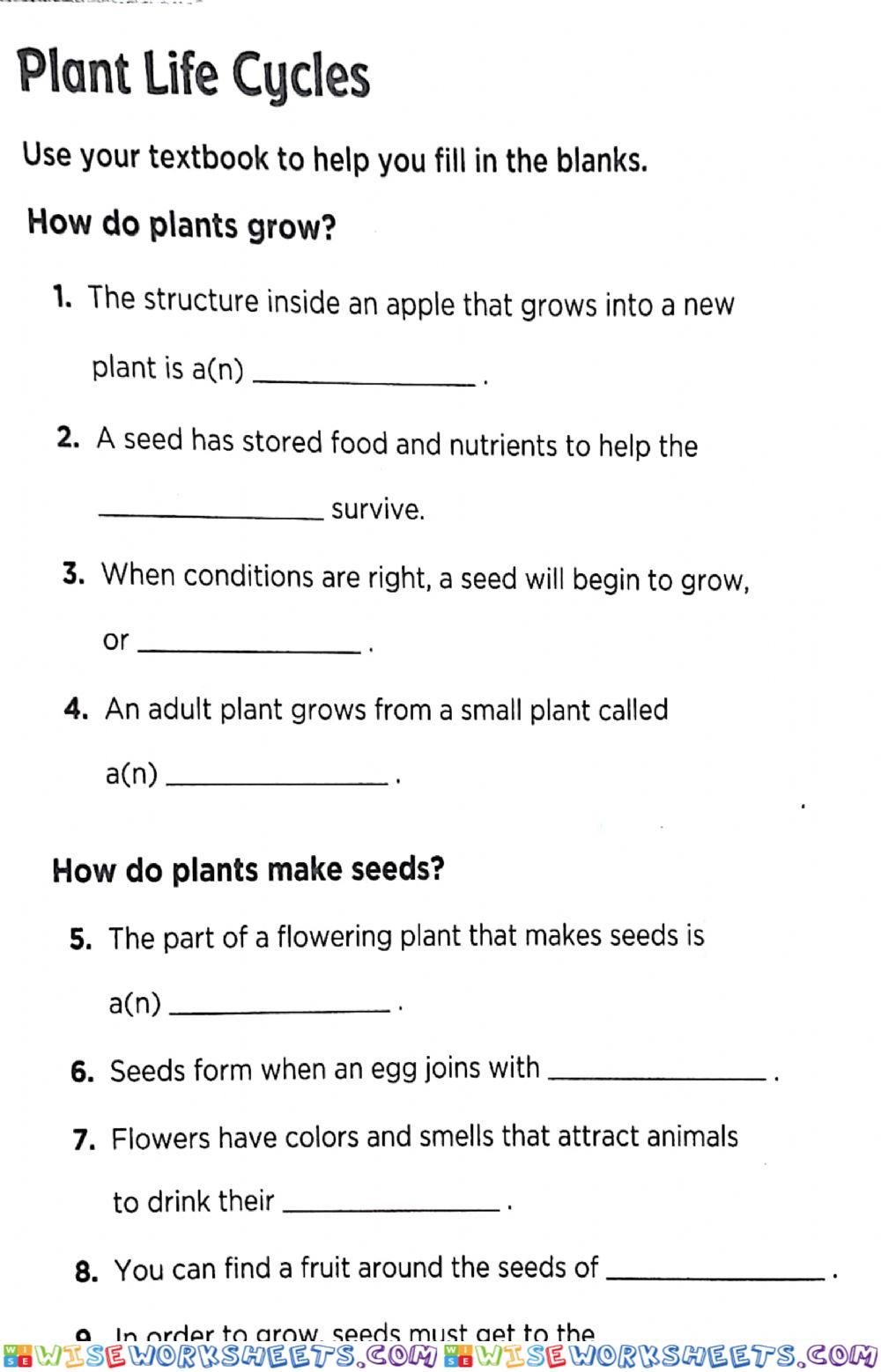 Plants life cycles