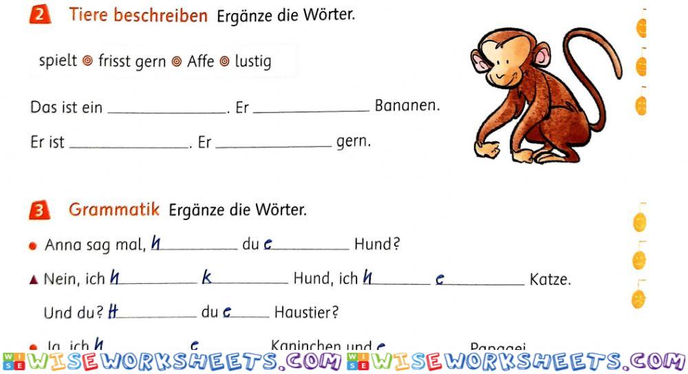 Tiere beschreiben