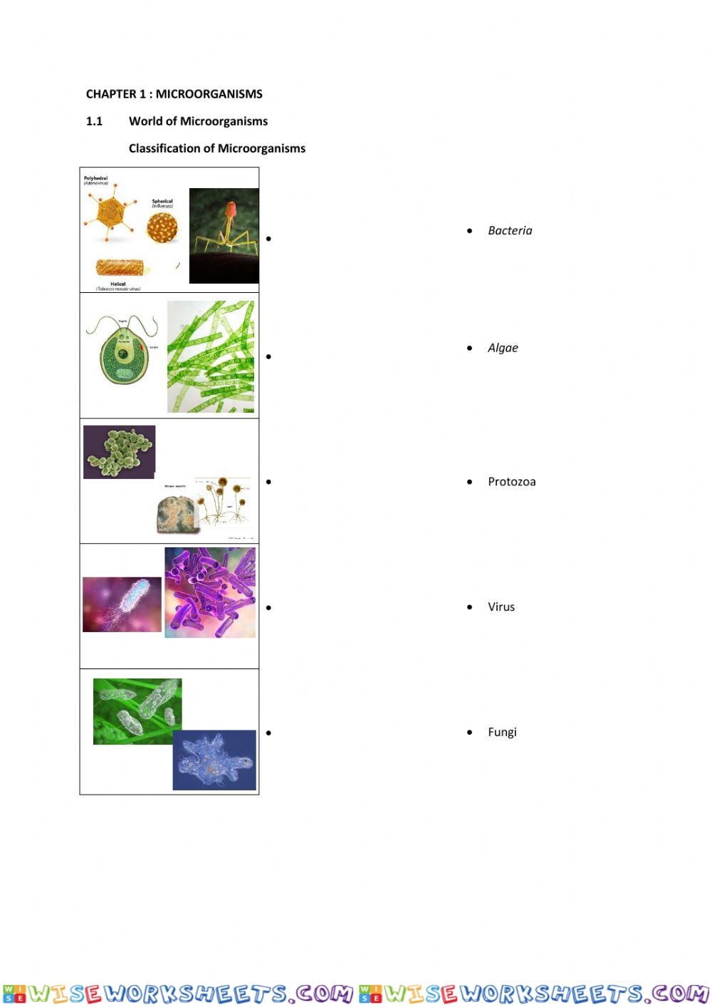 Classification of microorganisms