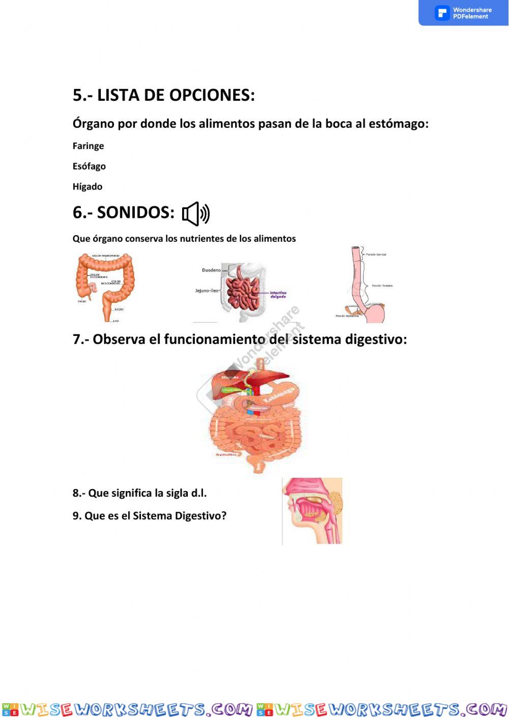 worksheet