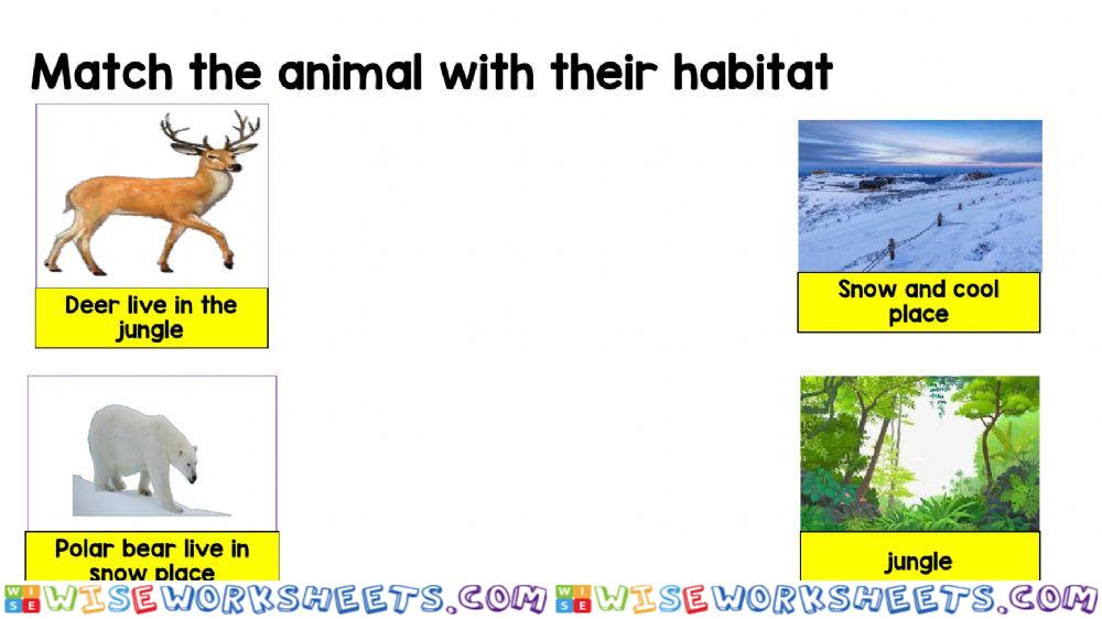 worksheet