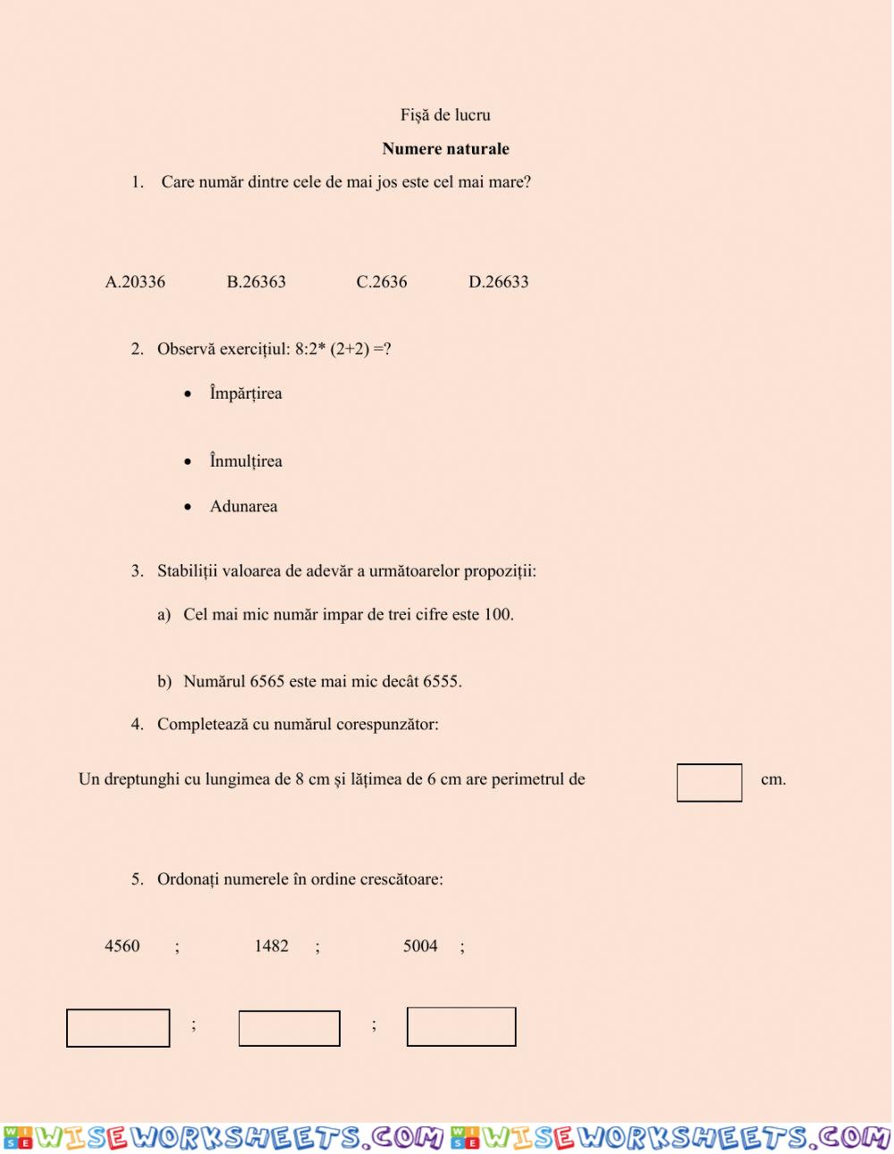 worksheet