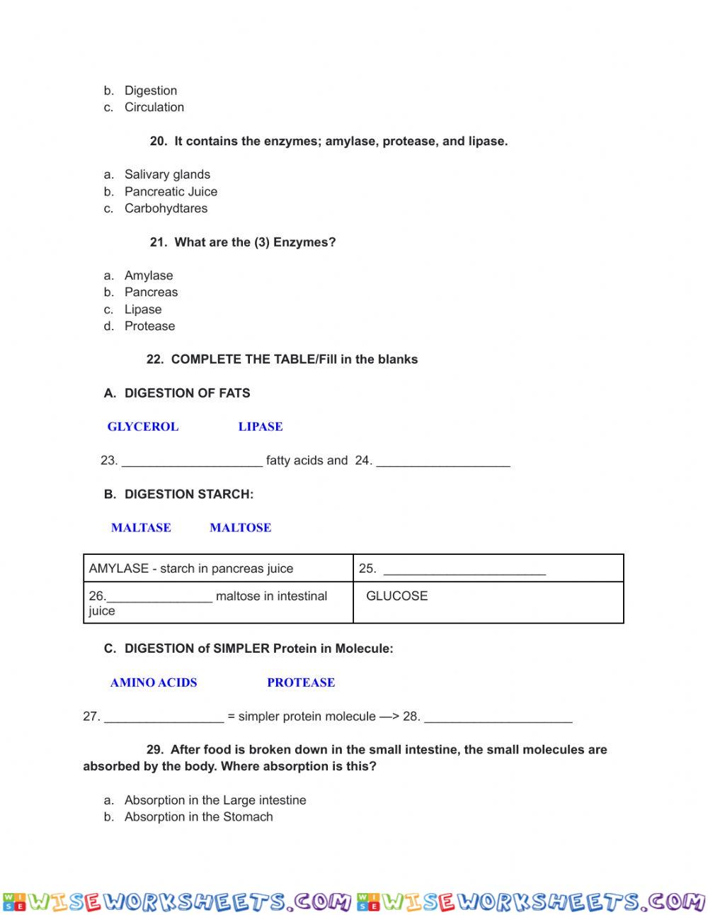 worksheet