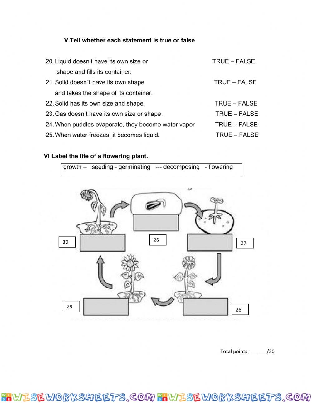 worksheet