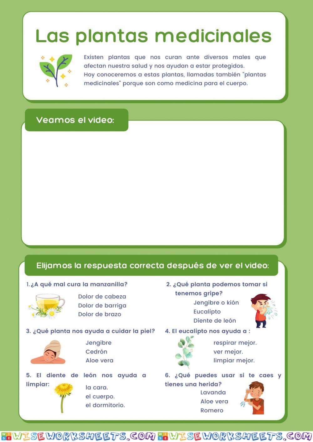 Plantas medicinales