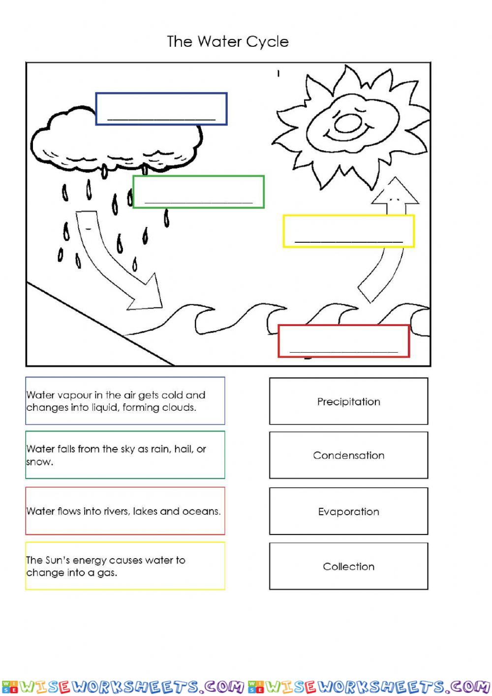 Water Cycle