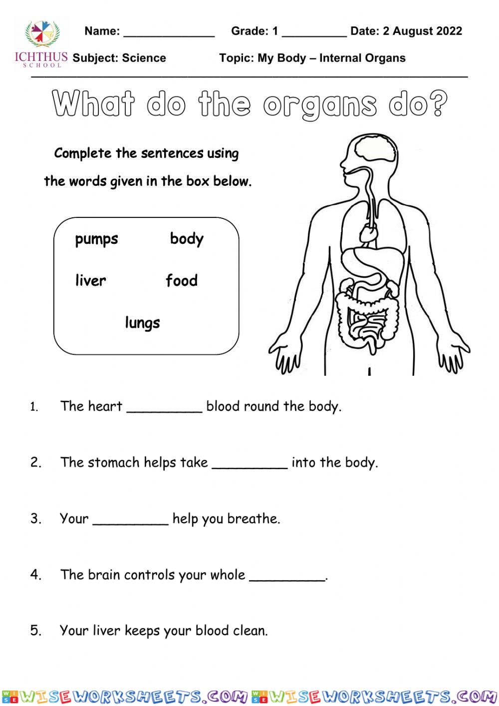 Organs