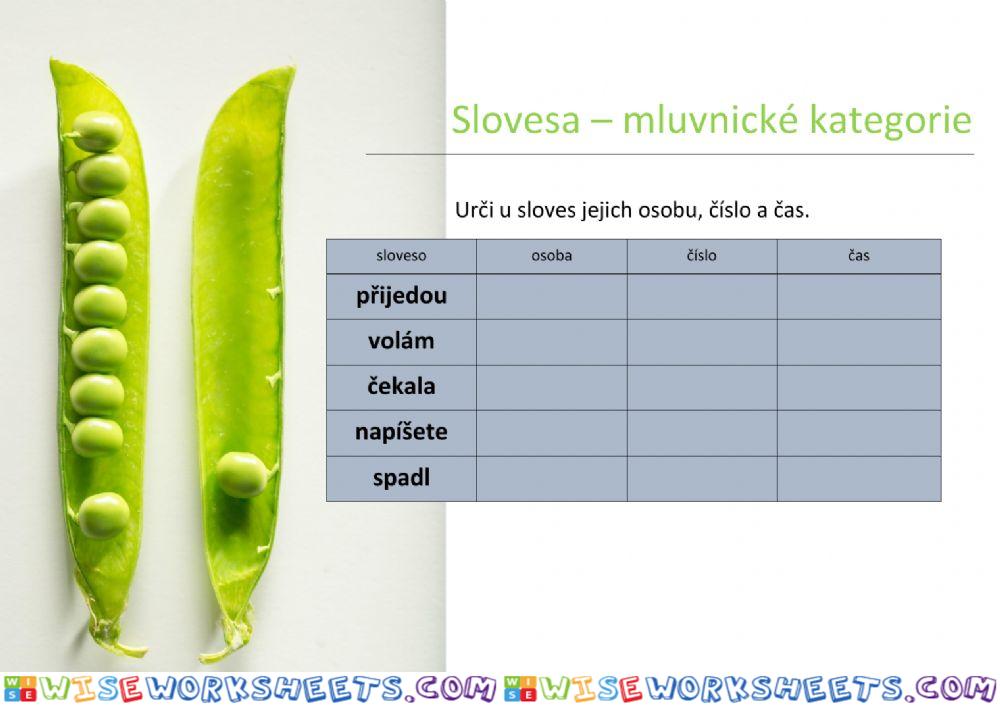 Slovesa - mluvnické kategorie 02