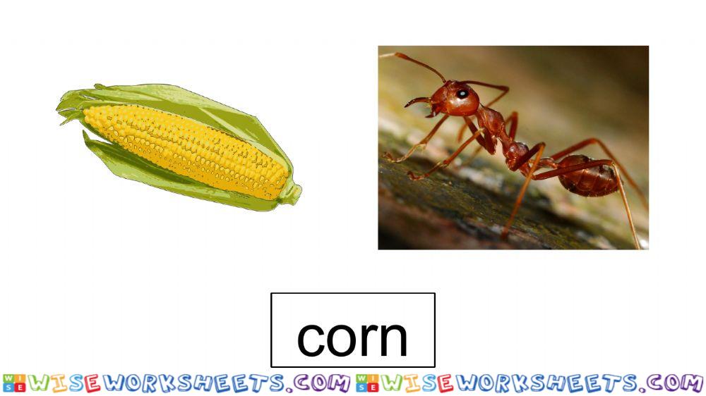 worksheet