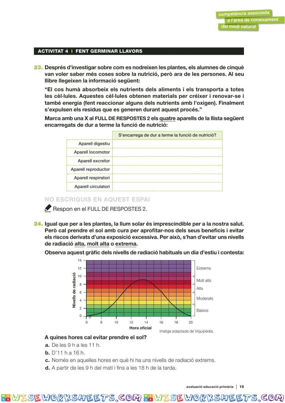 worksheet