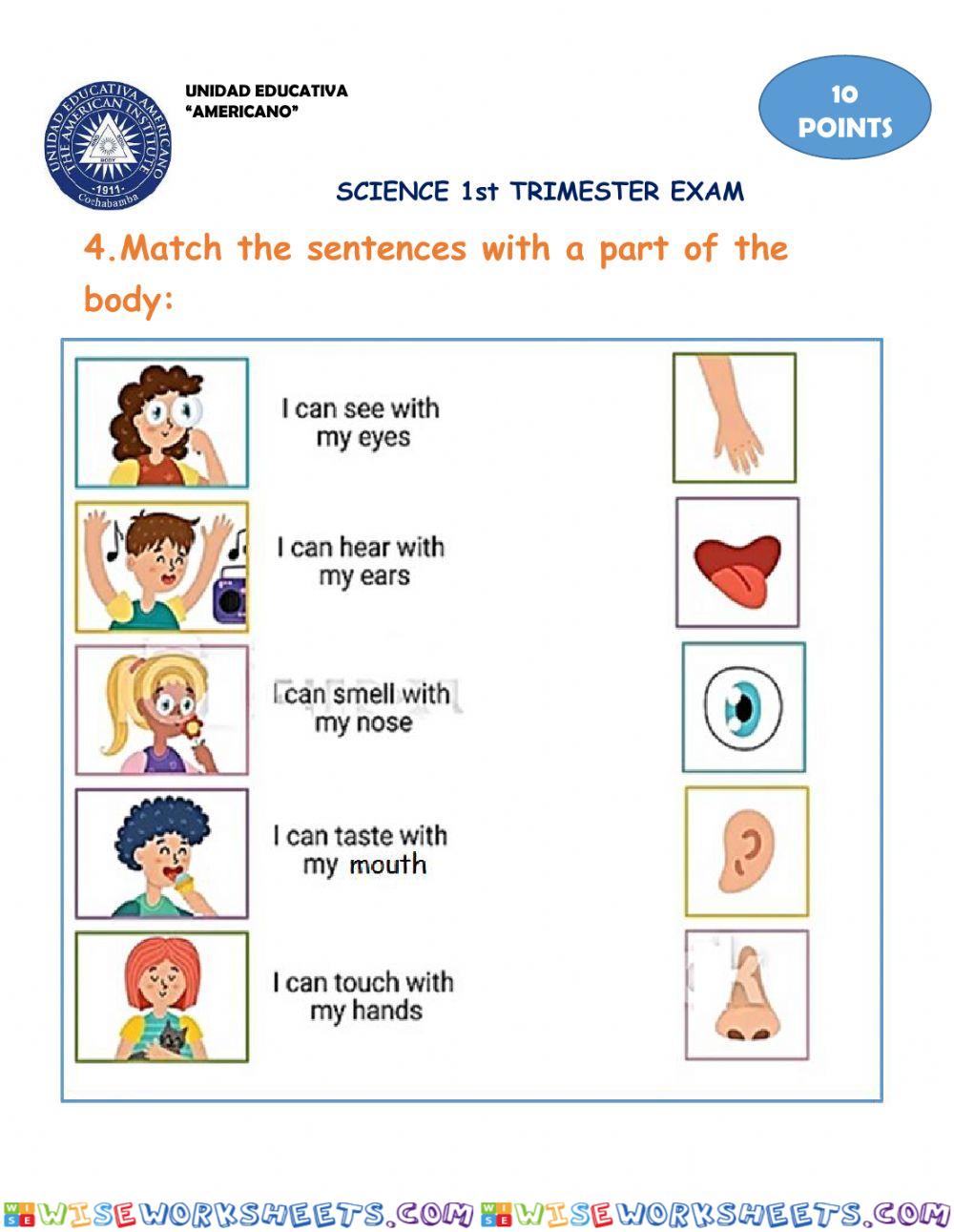 Science 1° trimester evaluation (3)