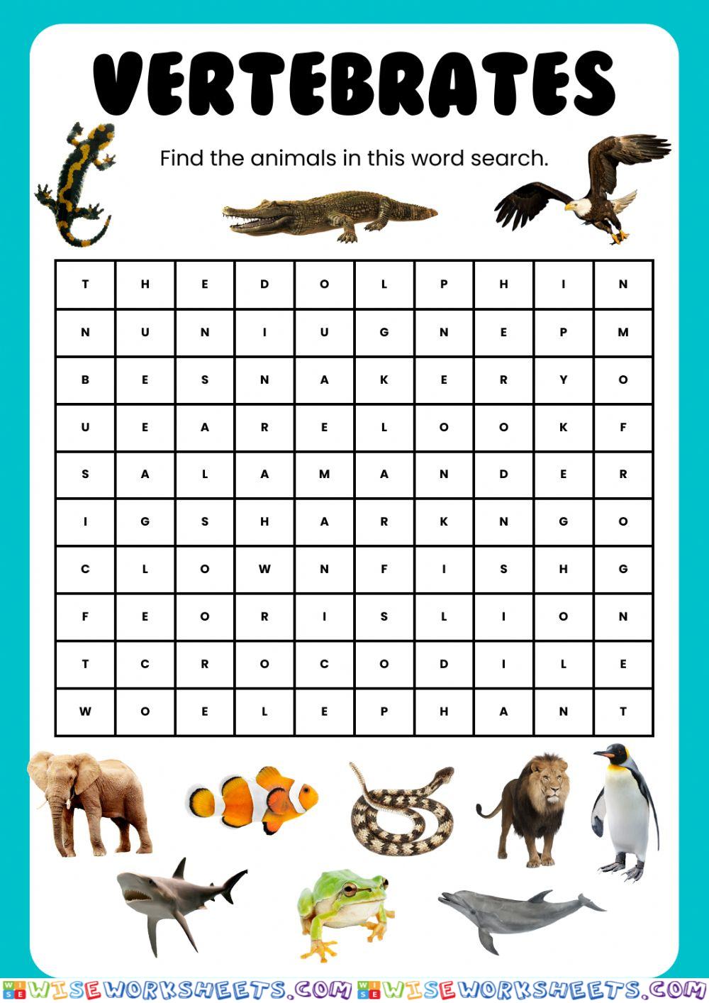 Vertebrates wordsearch