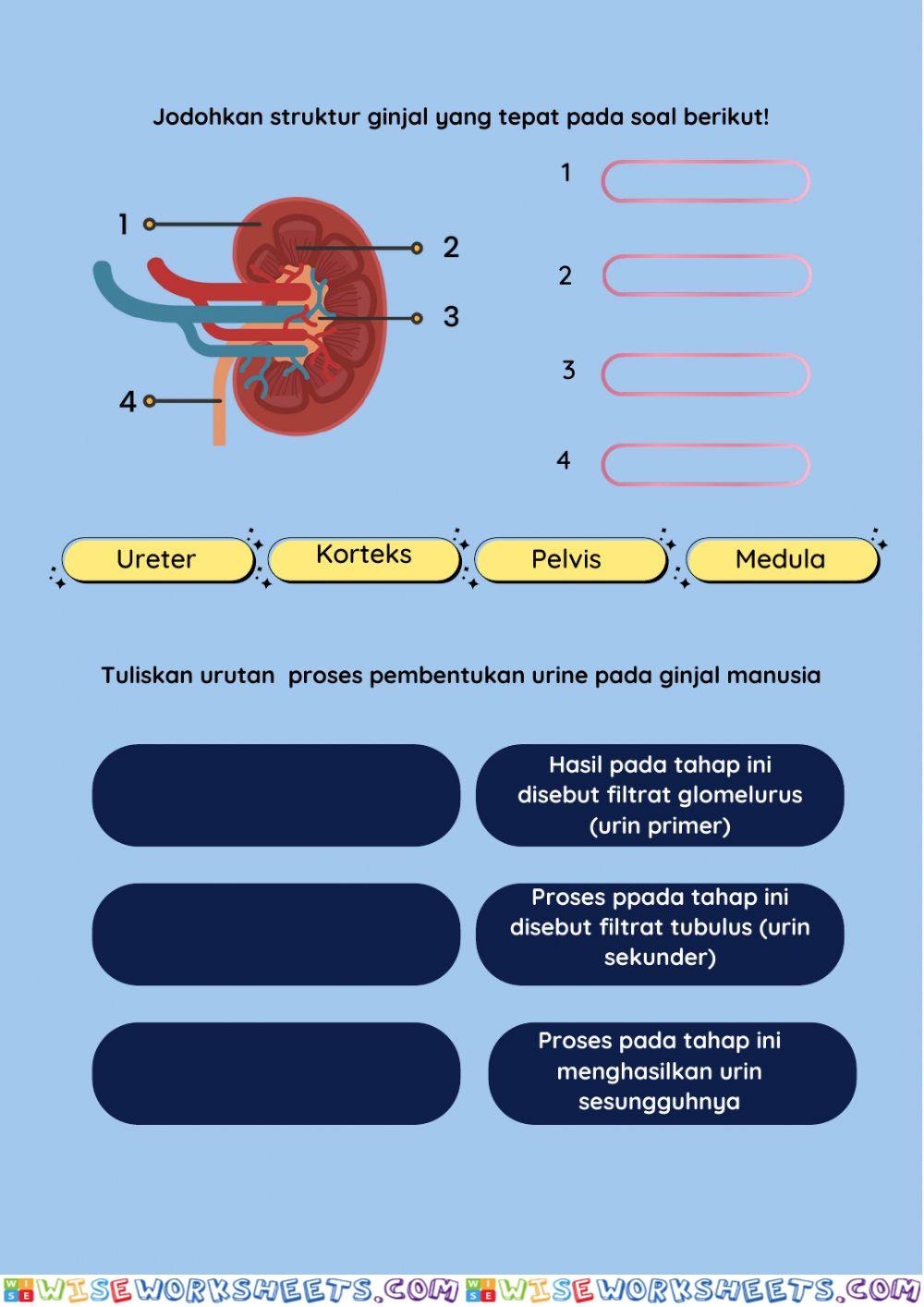 worksheet