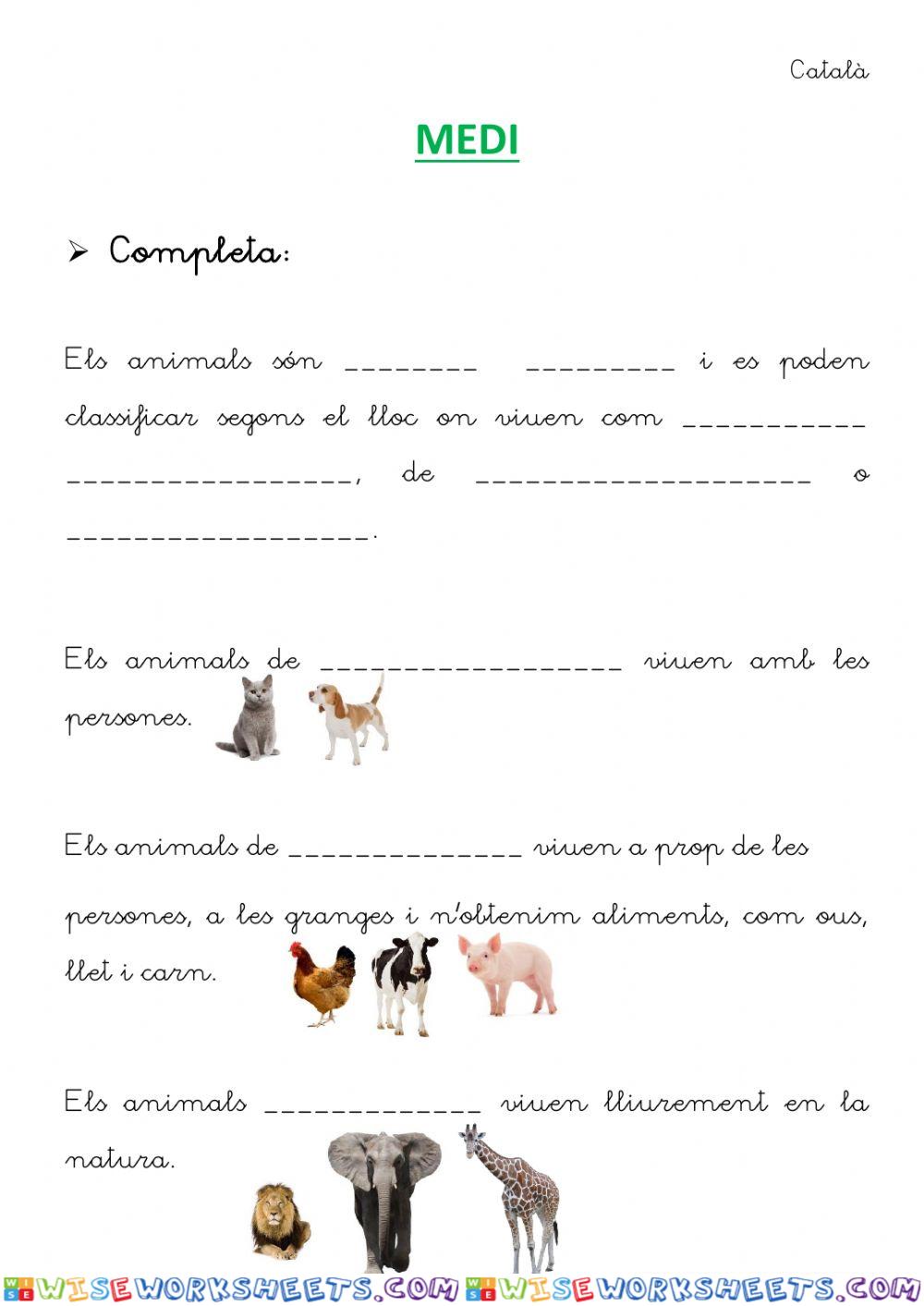 Animals Salvatges