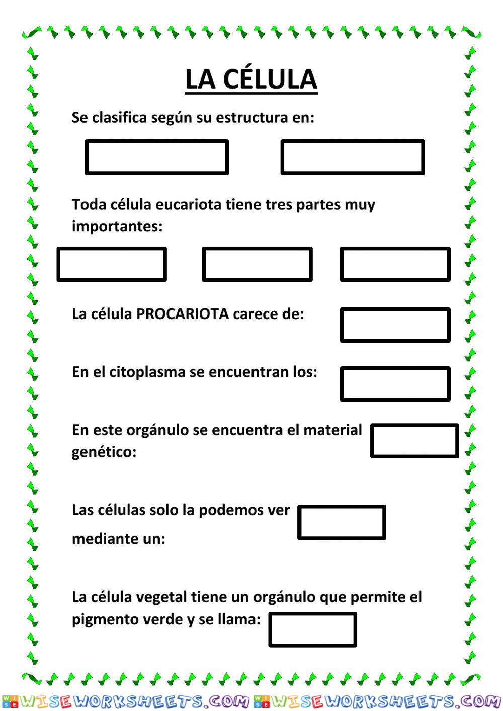 Recordando sobre la célula