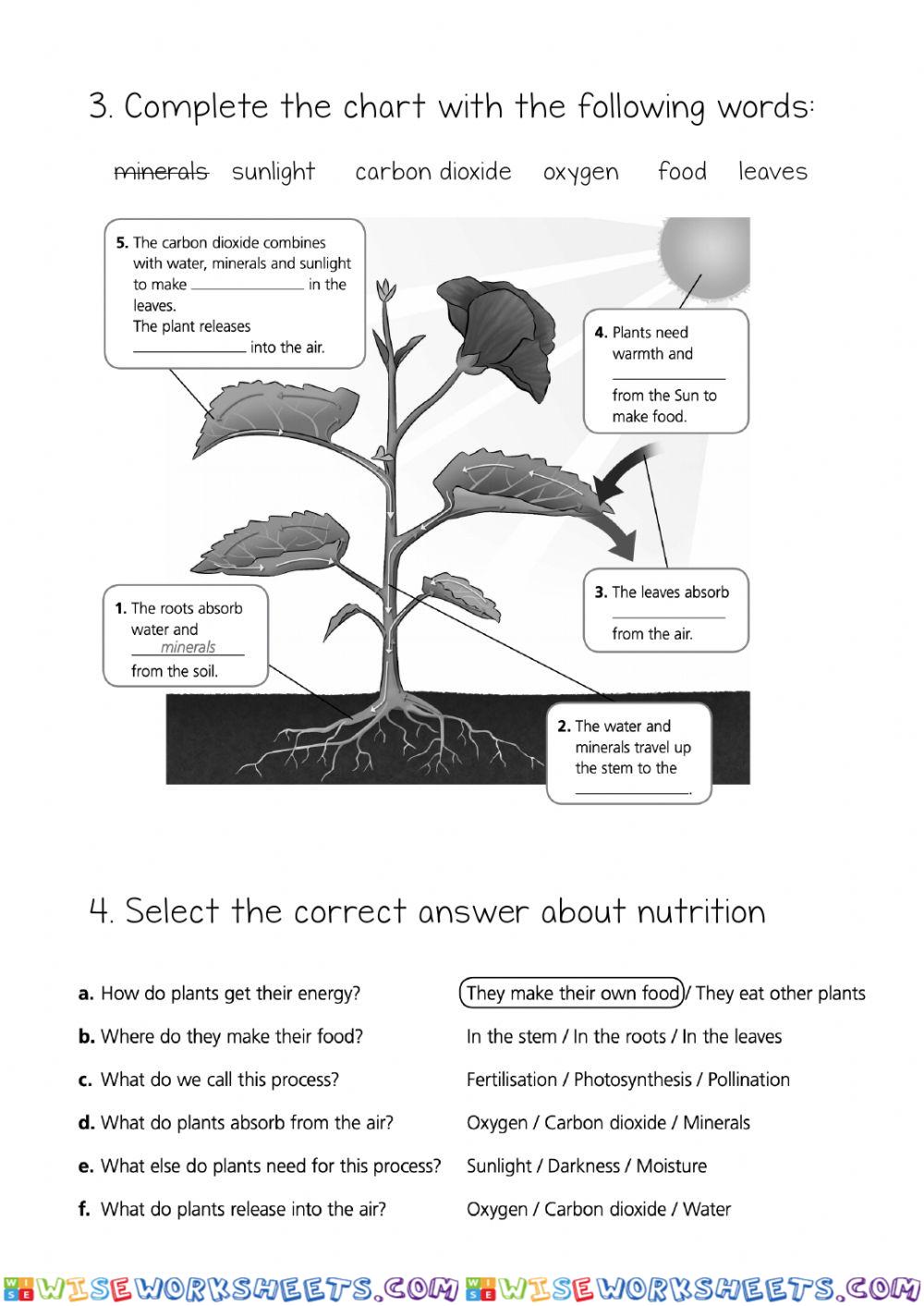 worksheet