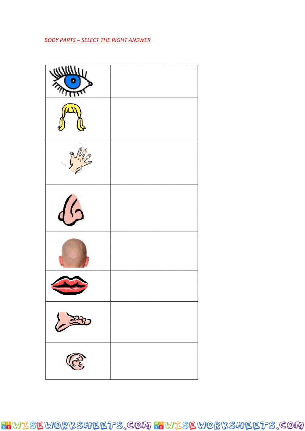 Body parts