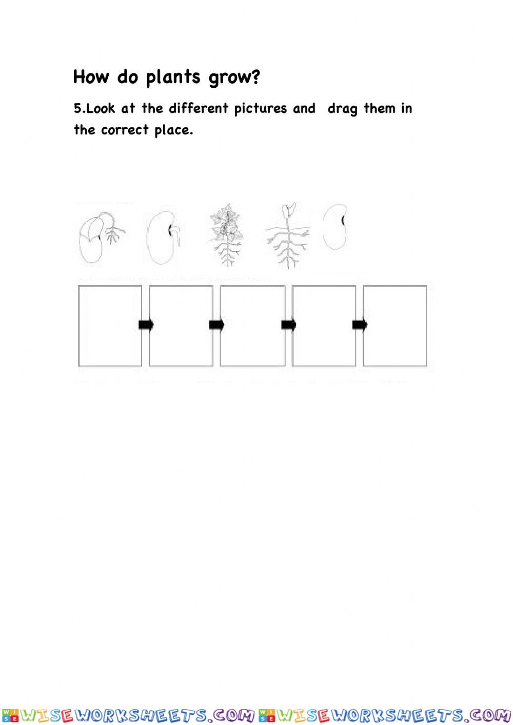 worksheet